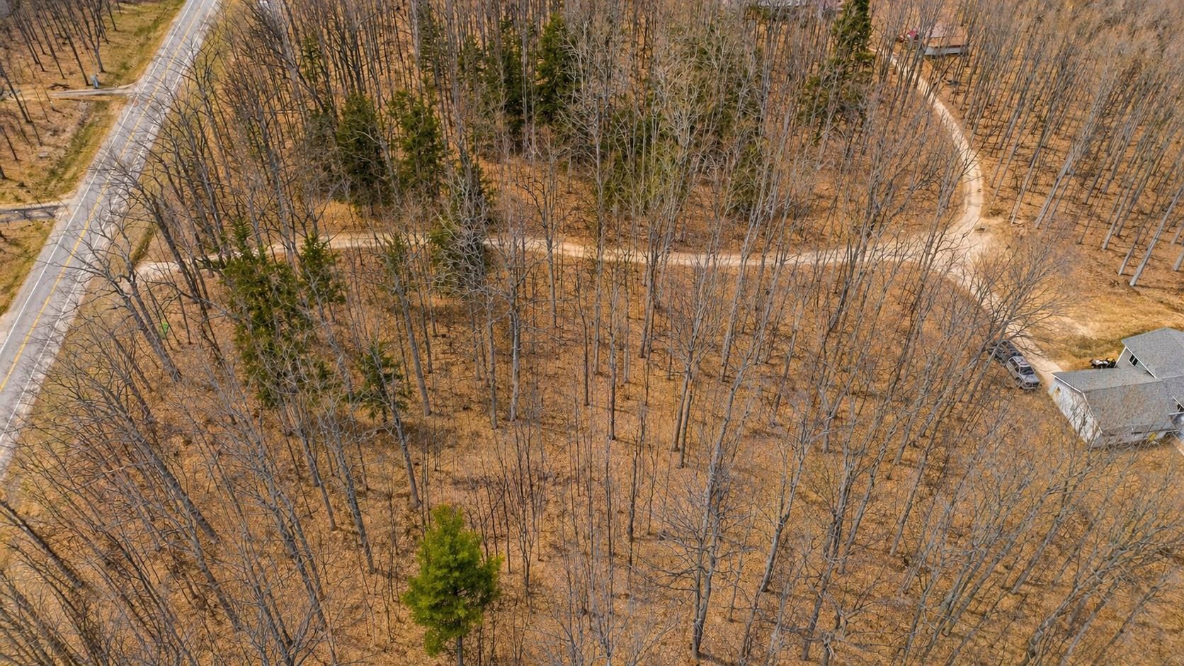 10186 Thiel Road Traverse City, MI 49685 - Photo 6 of 10