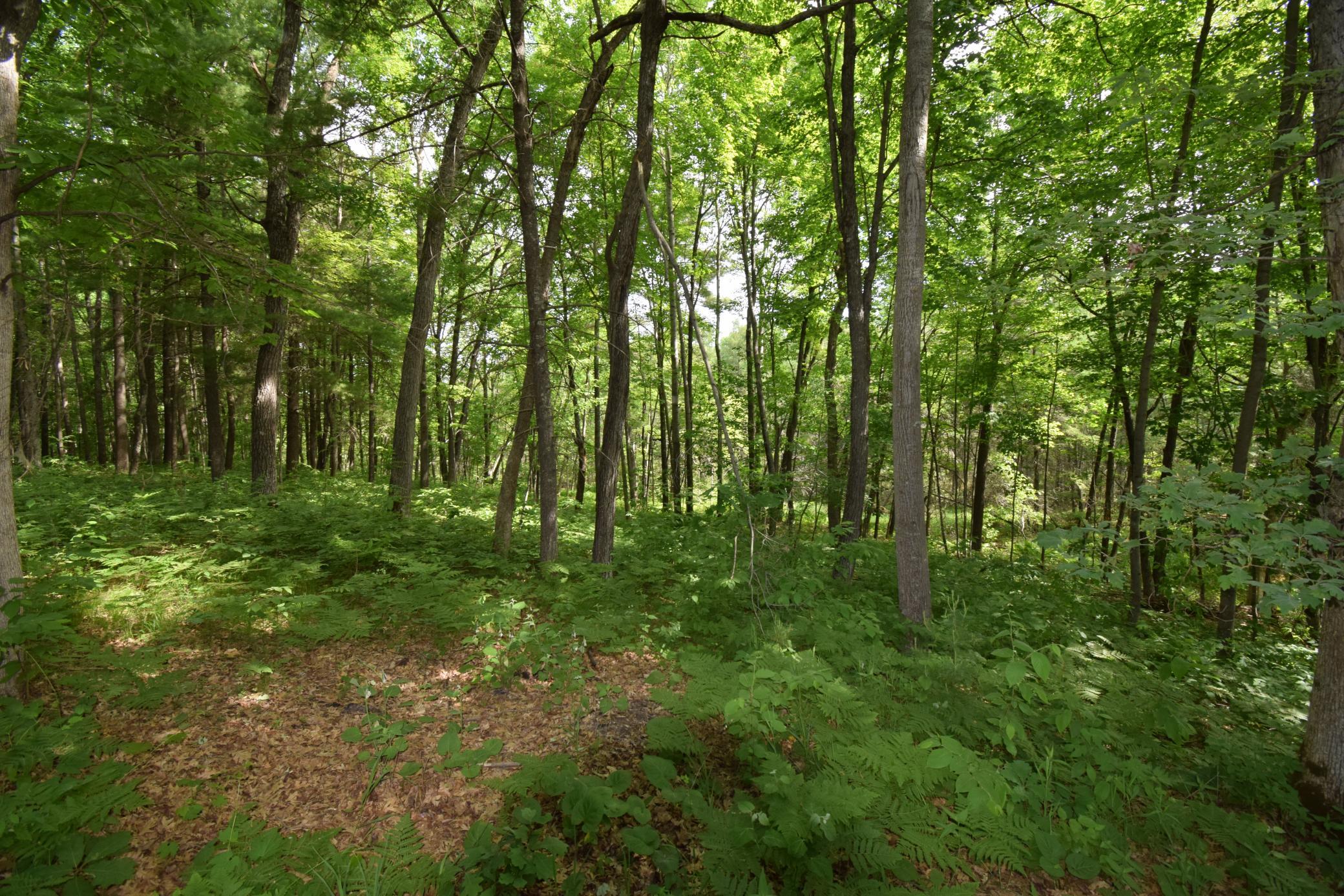 7118 Gordon Road Siren, WI 54872 - Photo 24 of 31