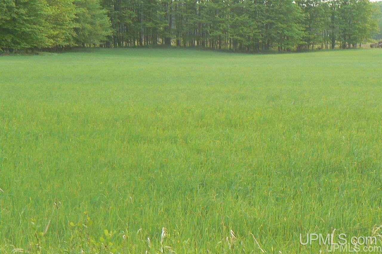 Tbd Benson 53 Acres Road Chatham, MI 49816 - Photo 9 of 10