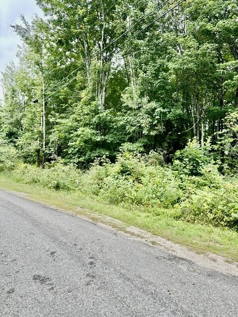 Lot 96 Heath Road Milbridge, ME 04658 - Photo 4 of 4 IMG_7880