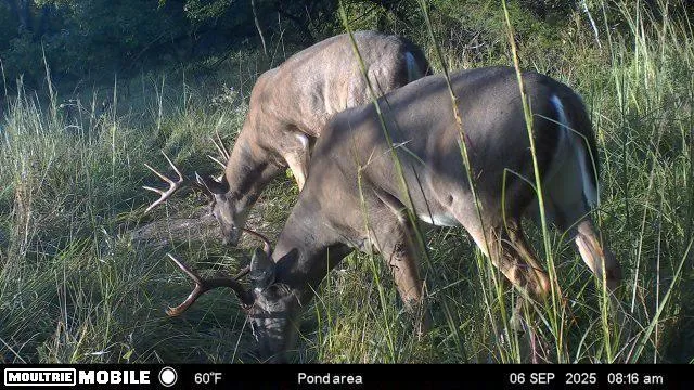 $270,000 | 1 Cold Water Springs Road, Louisburg, KS 66053