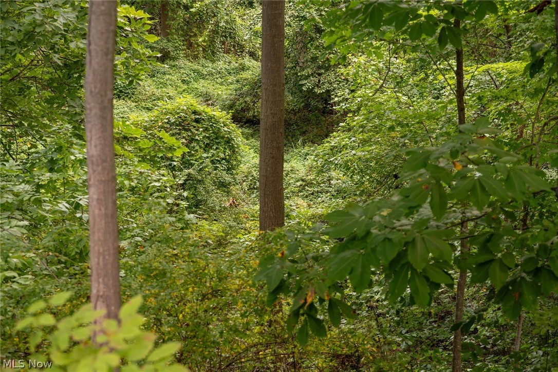 6065 Hopkins Road Mentor, OH 44060 - Photo 11 of 29 backyard