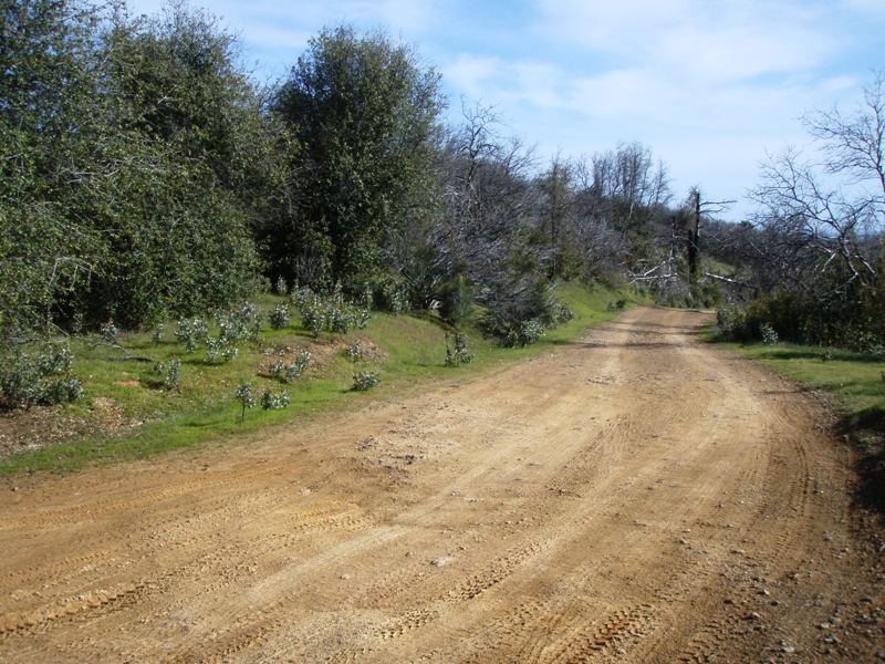 Backbone Road