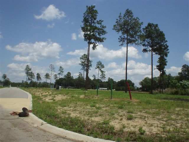 Lot 34 Goretown Loop Loris, SC 29569 - Photo 1 of 2