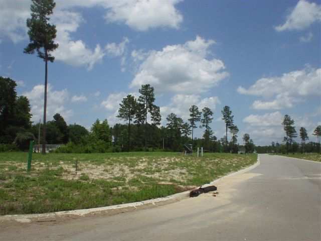Lot 34 Goretown Loop Loris, SC 29569 - Photo 2 of 2