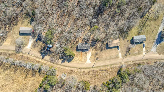 a view of a yard with large trees