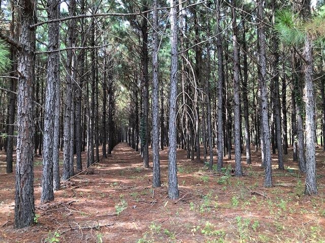 0 Barlow Road Cochran, GA 31014 - Photo 19 of 21