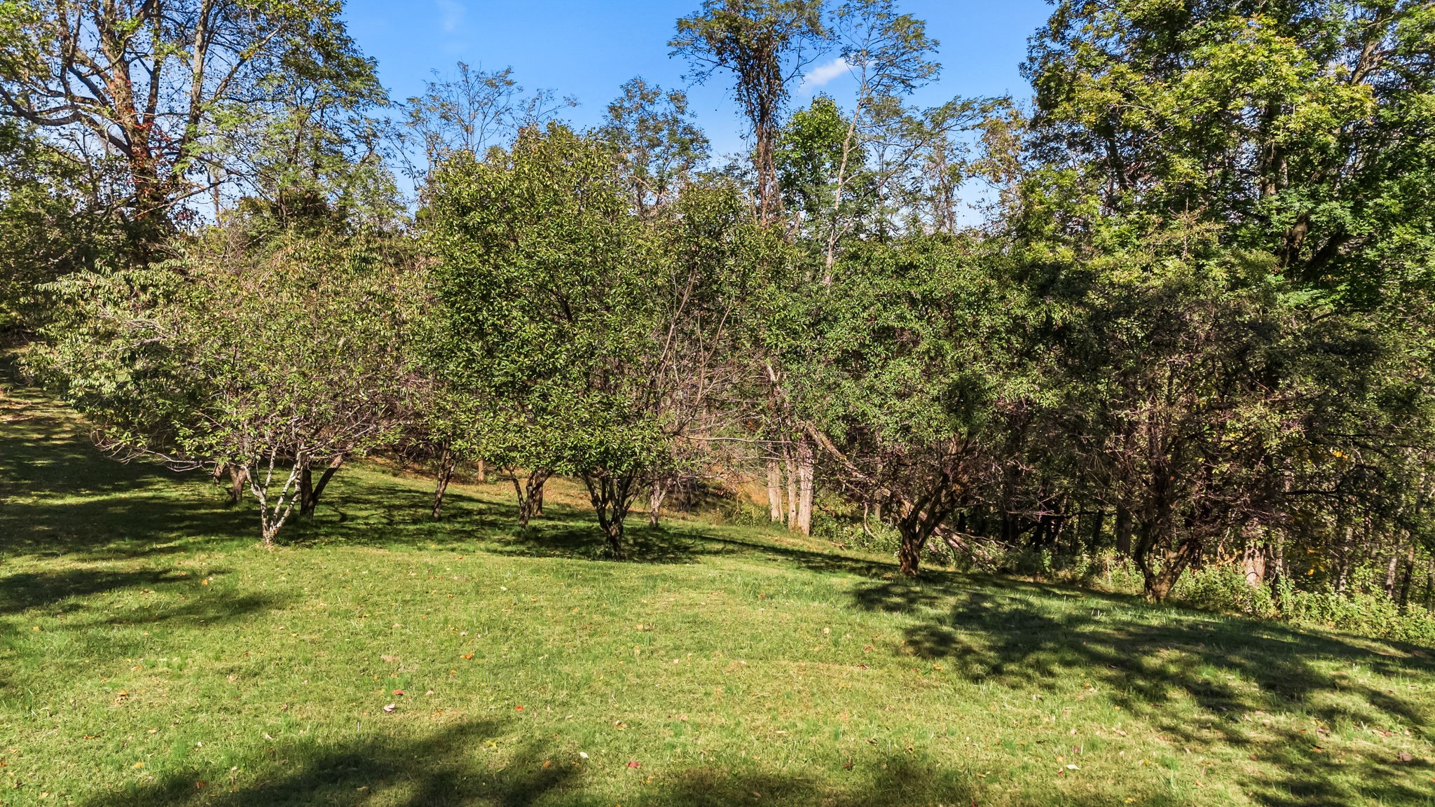 369 Adams Ridge Lane Woodbury, TN 37190 - Photo 53 of 68 Gallery Image 53