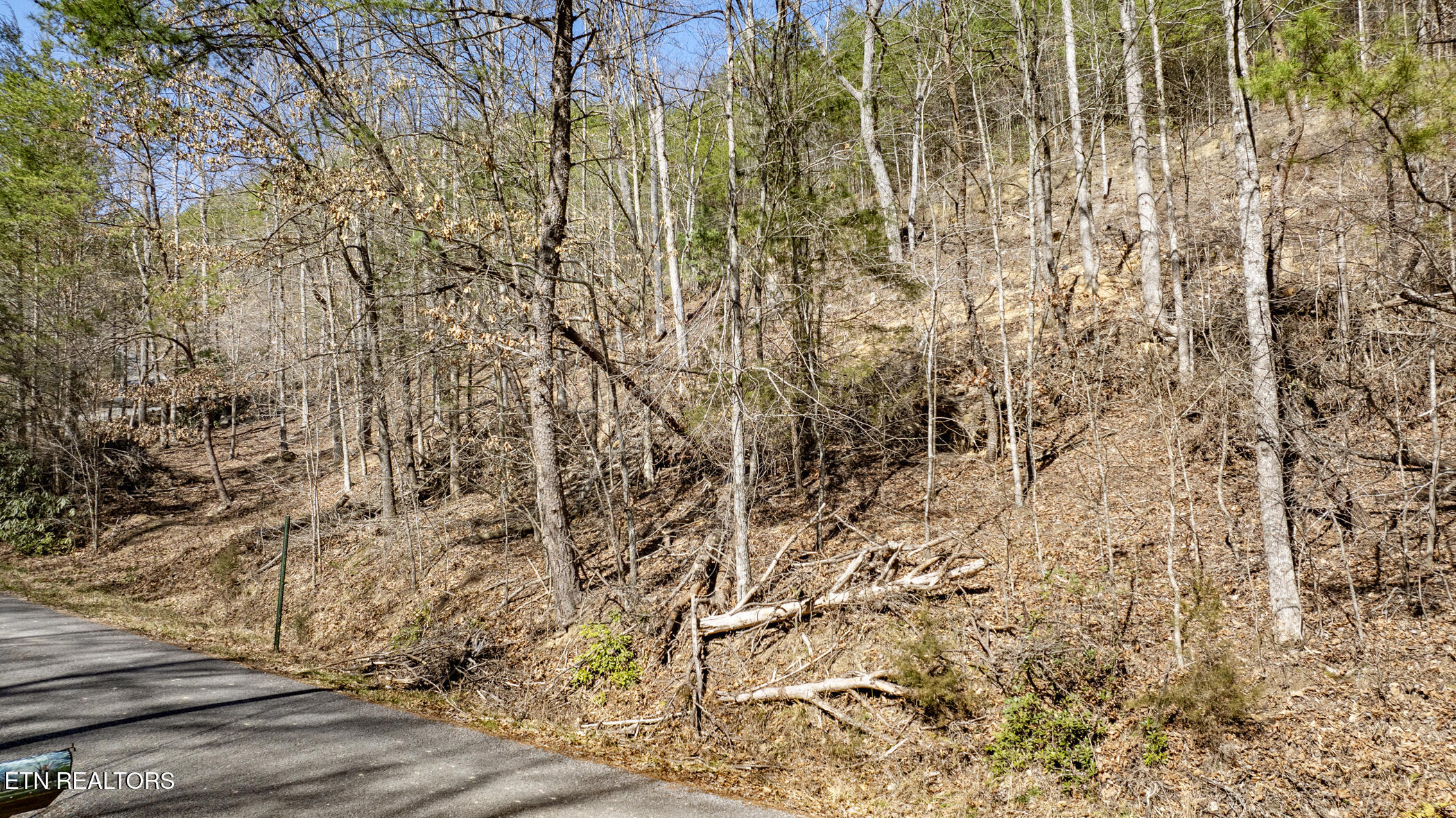 272 Cove Hollow Road Cosby, TN 37722 - Photo 12 of 17 COVE HOLLOW 10