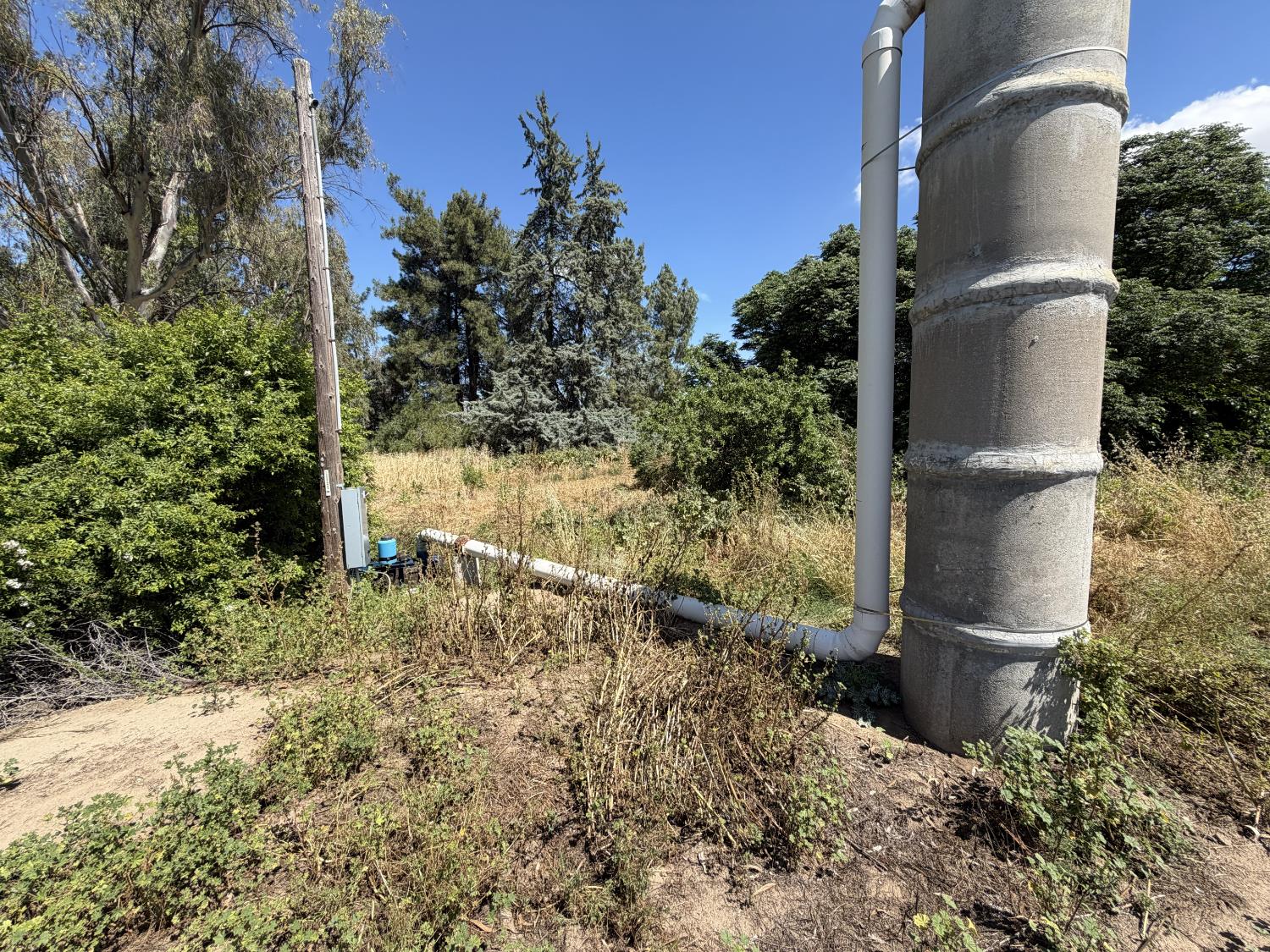 8841 Cross Road Chowchilla, CA 93610 - Photo 16 of 20 a view of a yard with plants and large trees