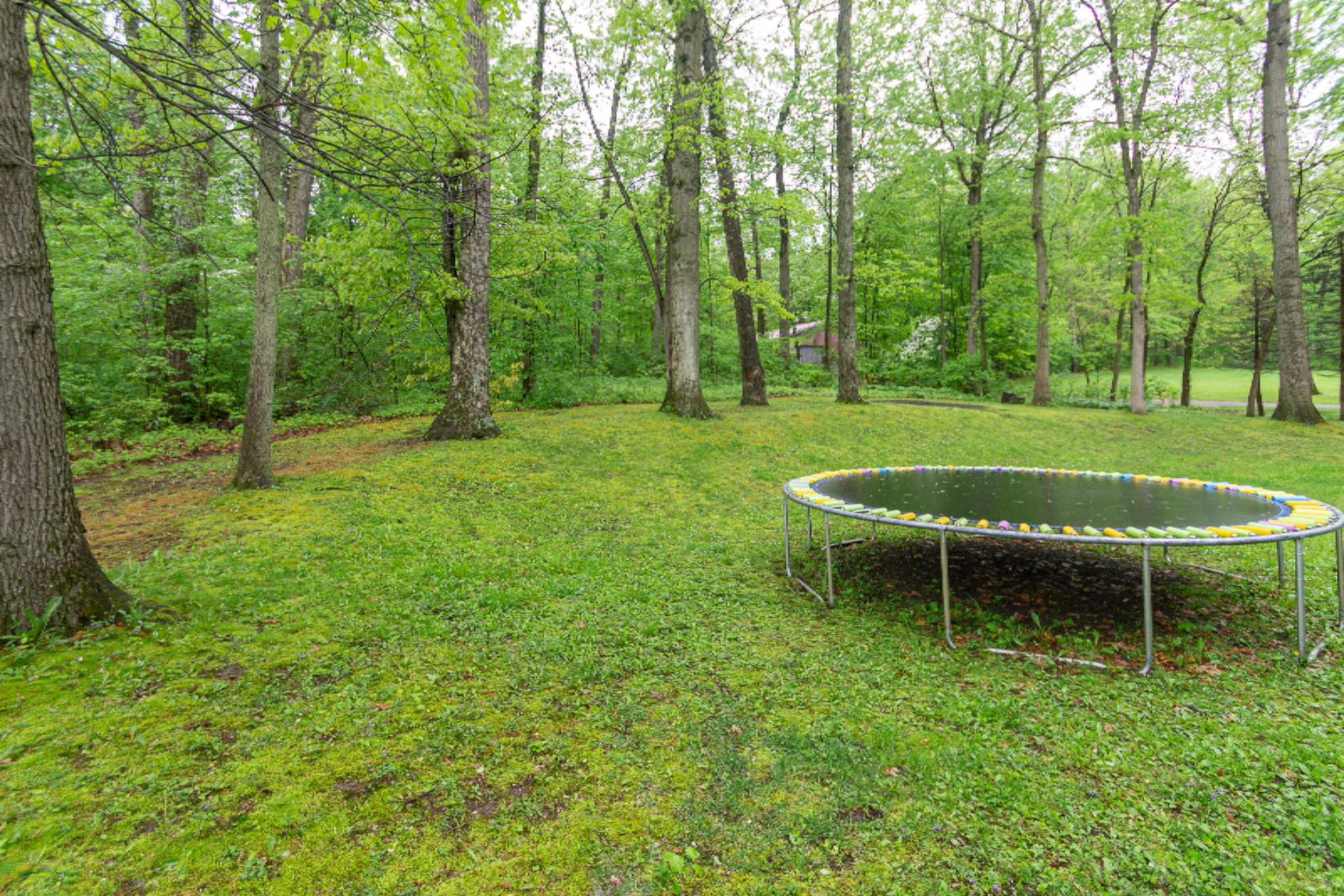 14967 Coon Hollow Road Three Rivers, MI 49093 - Photo 32 of 36 14967 Coon Hollow Rd-134