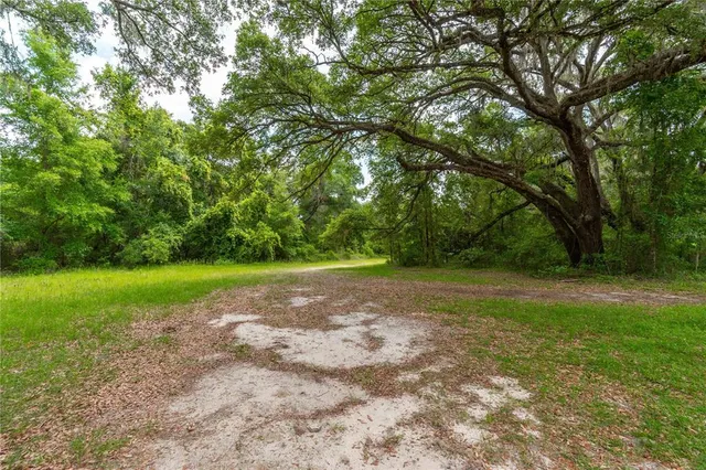 a view of a pathway both side of yard