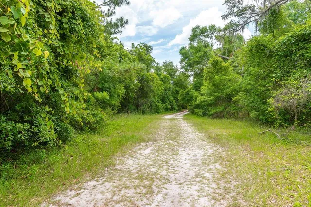 a view of a pathway of a park