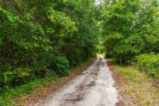 an aerial view of residential houses with outdoor space and trees