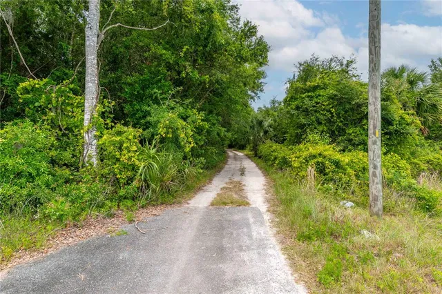 a view of a forest from a window