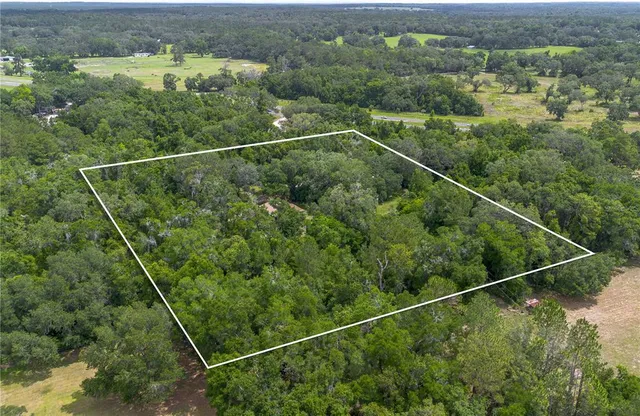 an aerial view of residential houses with outdoor space and trees