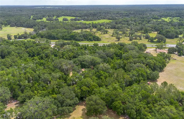 a view of a field with a mountain in the background