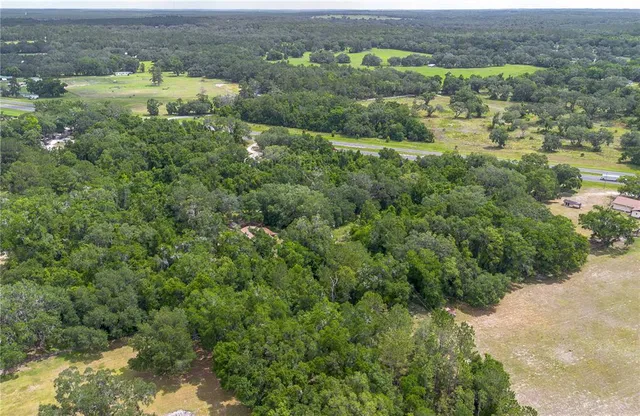 an aerial view of residential houses with outdoor space and trees