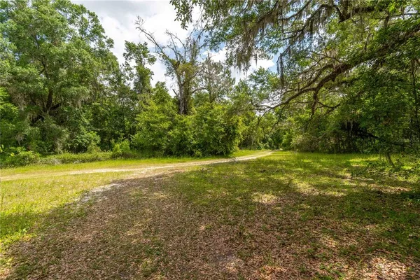 a view of a yard with a tree