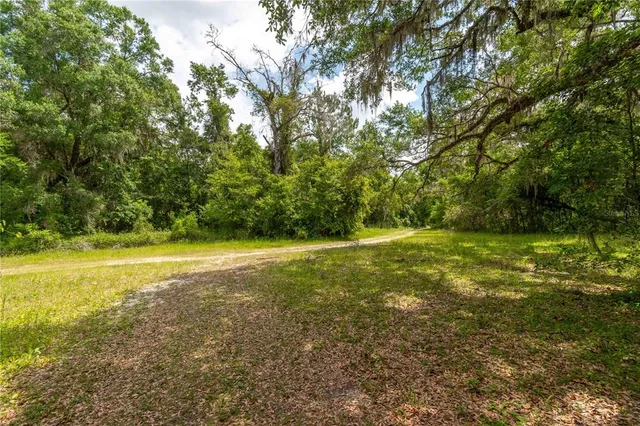 a view of a yard with a tree