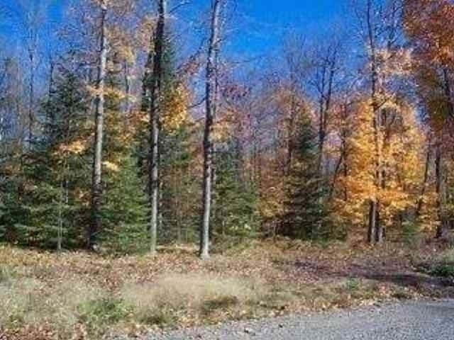 Lot 2 Timberline Road Mercer, WI 54547 - Photo 16 of 20 Gallery Image 16