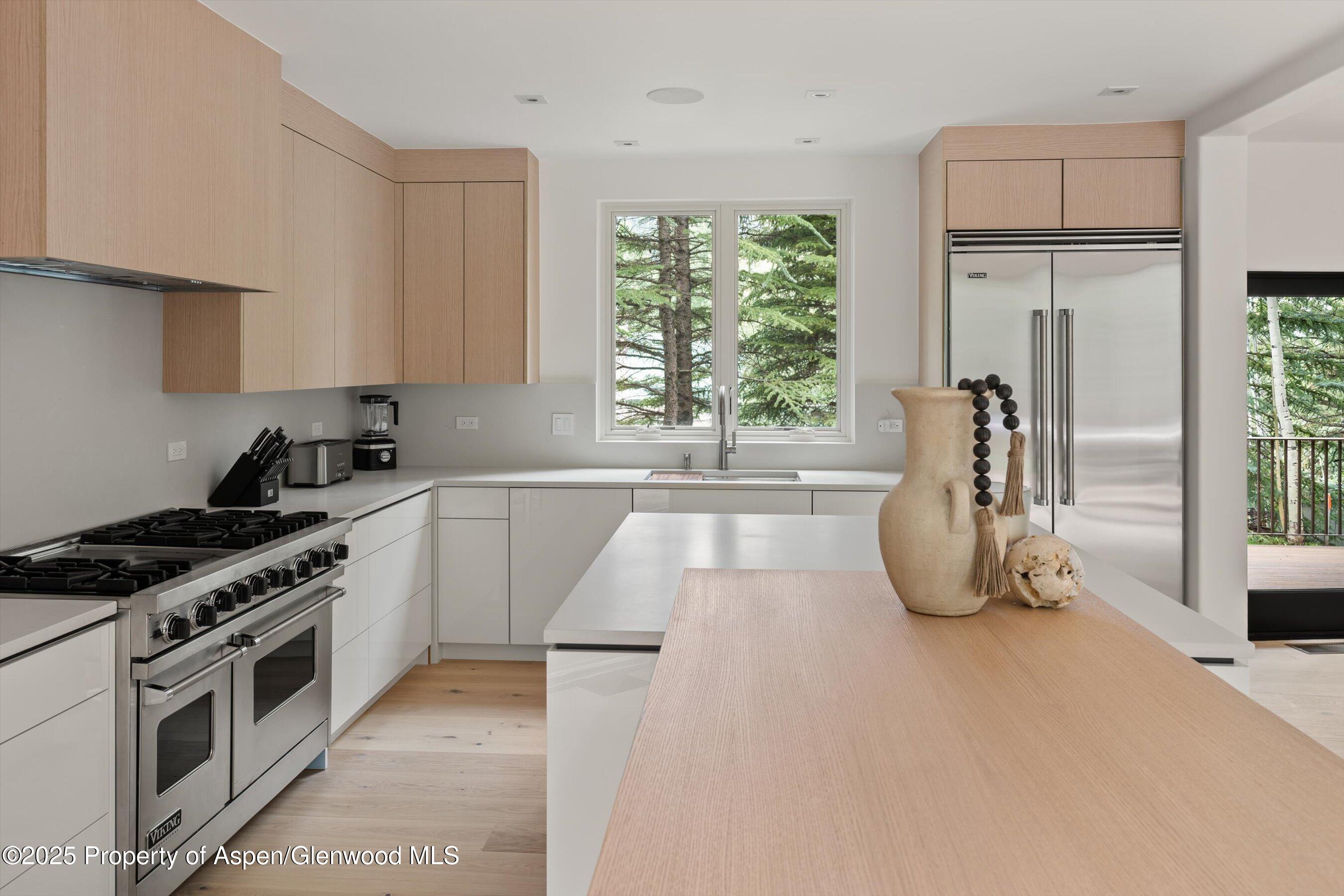 440 Alpine Court Aspen, CO 81611 - Photo 11 of 33 23-50-440Alpine24082623