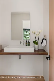a bathroom with a sink a mirror and a potted plant