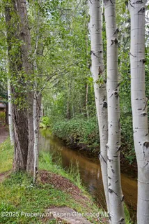 an aerial view of residential house with outdoor space