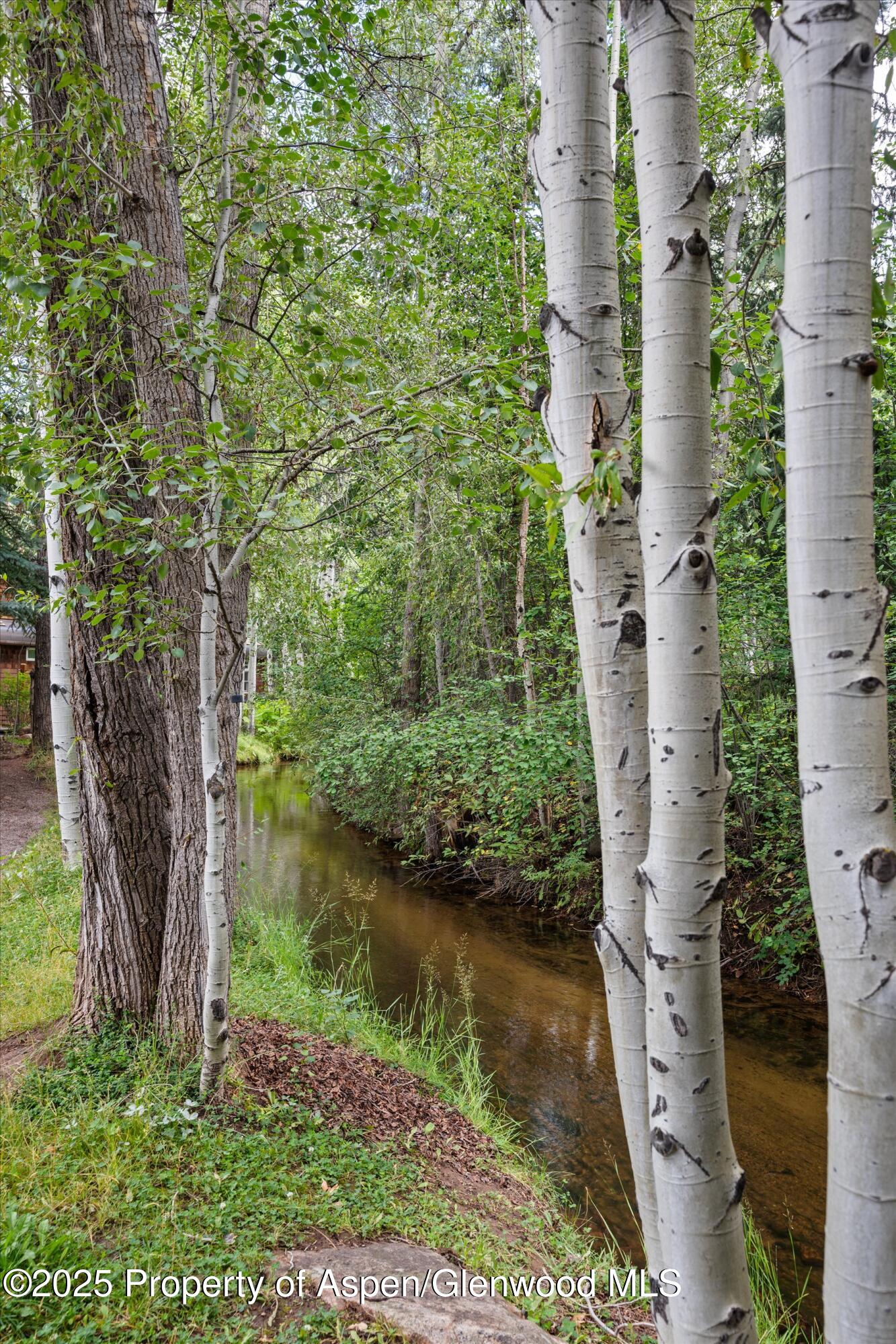 440 Alpine Court Aspen, CO 81611 - Photo 33 of 33 08-35-440Alpine24082608