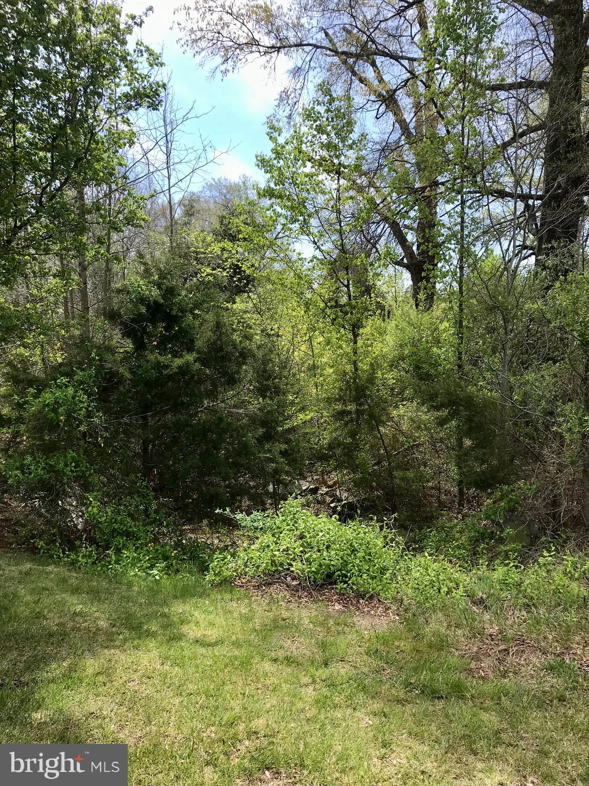 10441 Benchmark Road Fredericksburg, VA 22408 - Photo 1 of 5 Left side view