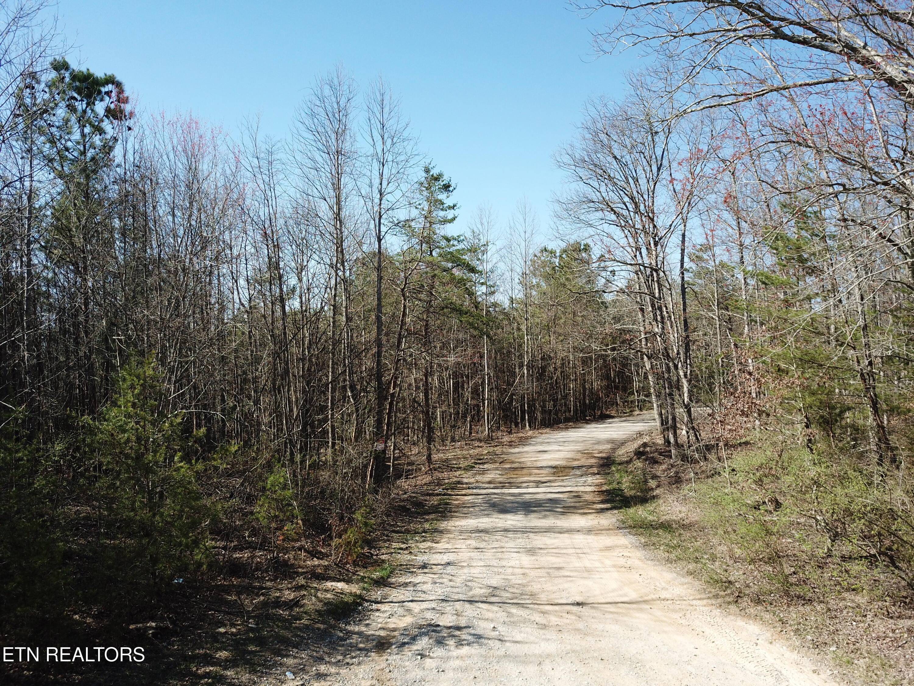 Buckridge Road Crossville, TN 38572 - Photo 25 of 26 DJI_0092