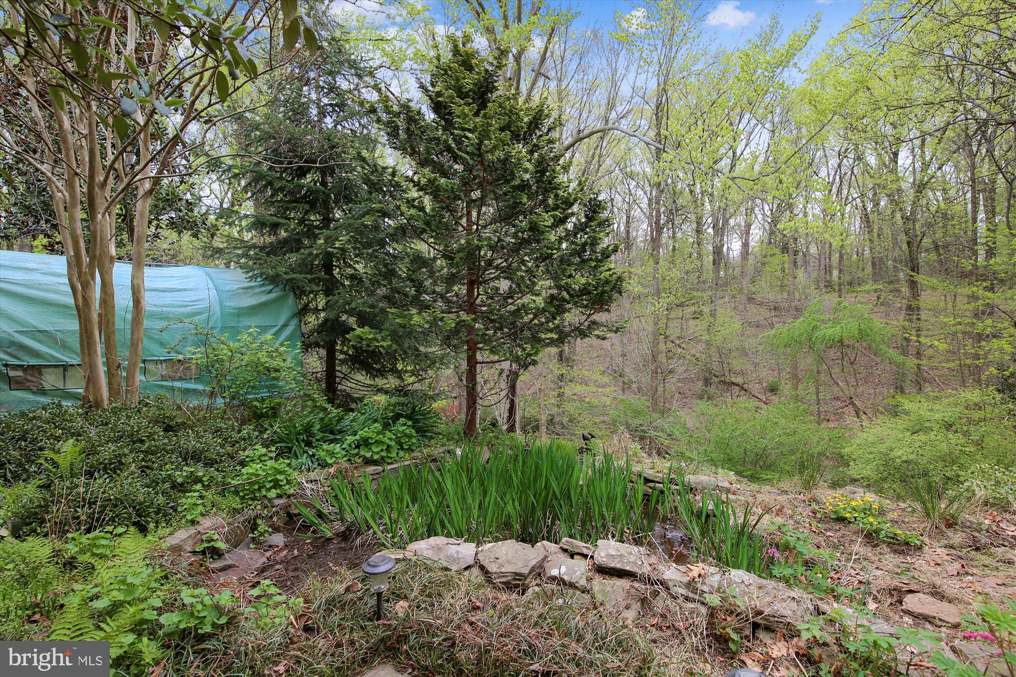 10713 Meadowhill Road Silver Spring, MD 20901 - Photo 14 of 30 View (Greenhouse is Temporary Structure)