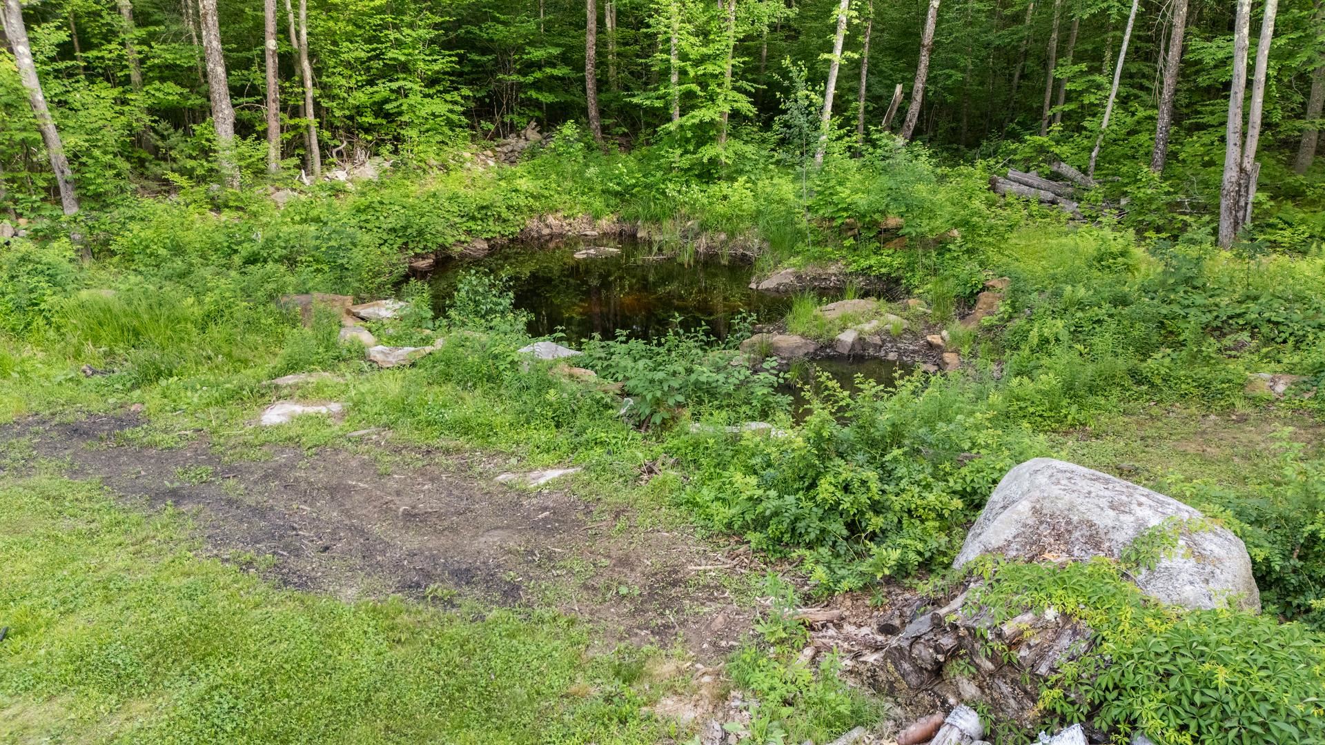 165 King Hill Road Francestown, NH 03043 - Photo 14 of 60