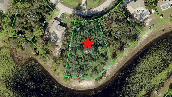 a view of a garden with plants