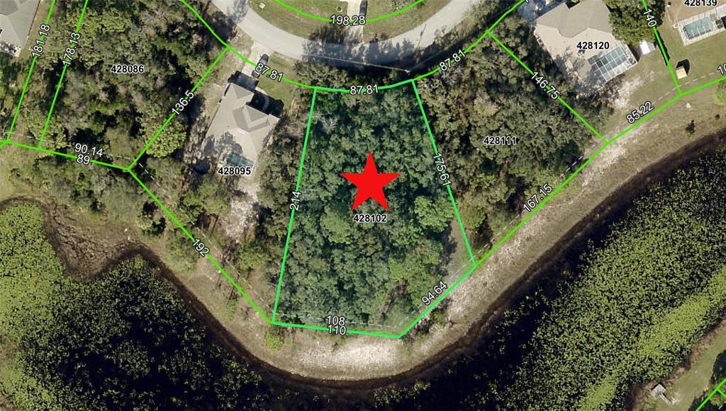 a view of a garden with plants