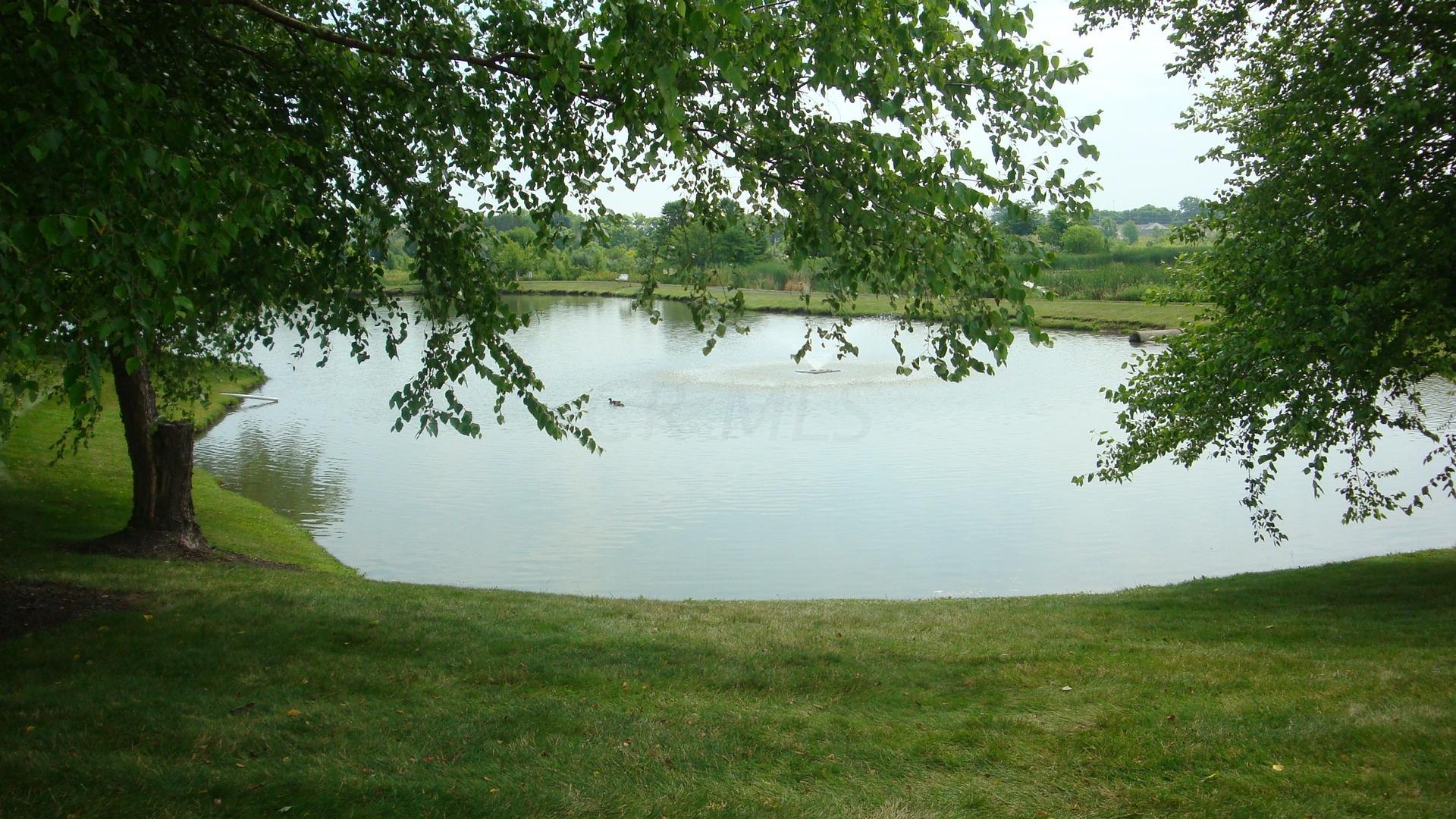 6085 Murphys Pond Road Canal Winchester, OH 43110 - Photo 2 of 16