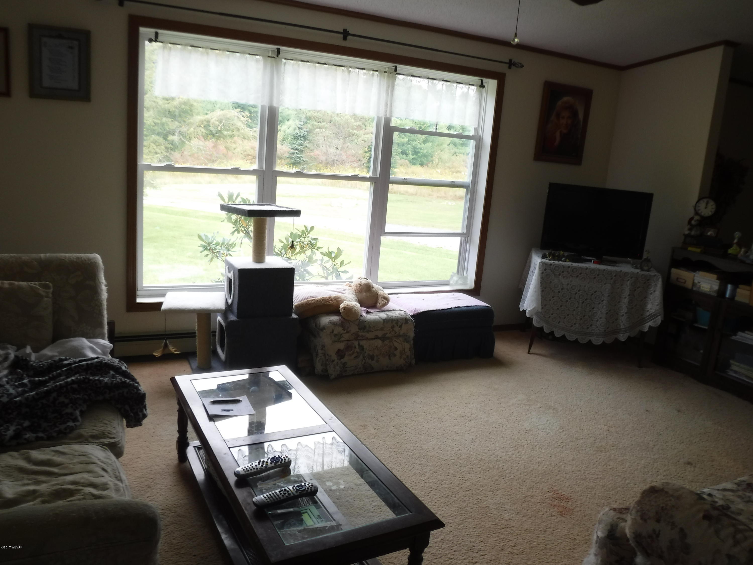 836 Route 4007 Road Forksville, PA 18616 - Photo 30 of 55 Living room