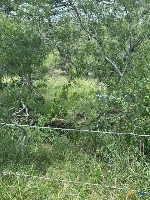 Tbd Dowdy Road Kingsbury, TX 78638 - Photo 1 of 1 Gallery Image 1