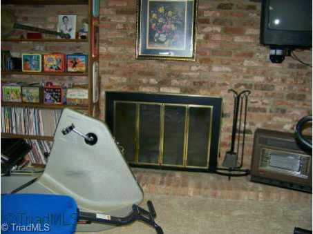 234 Farmbrook Road Mount Airy, NC 27030 - Photo 7 of 9 Other. Fireplace in basement - gas heater stays