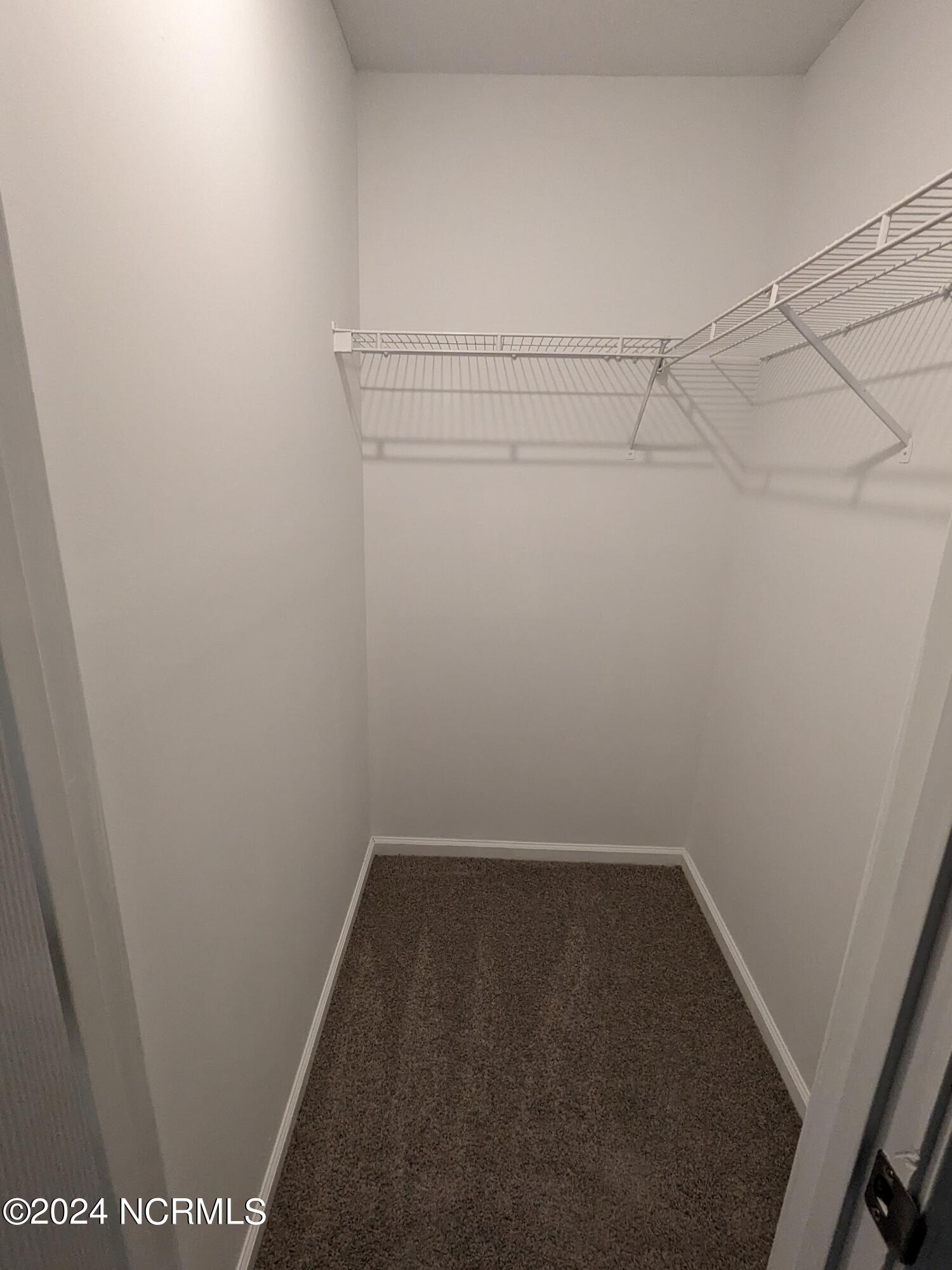 118 Wigeon Road Jacksonville, NC 28540 - Photo 9 of 22 Primary W/I Closet