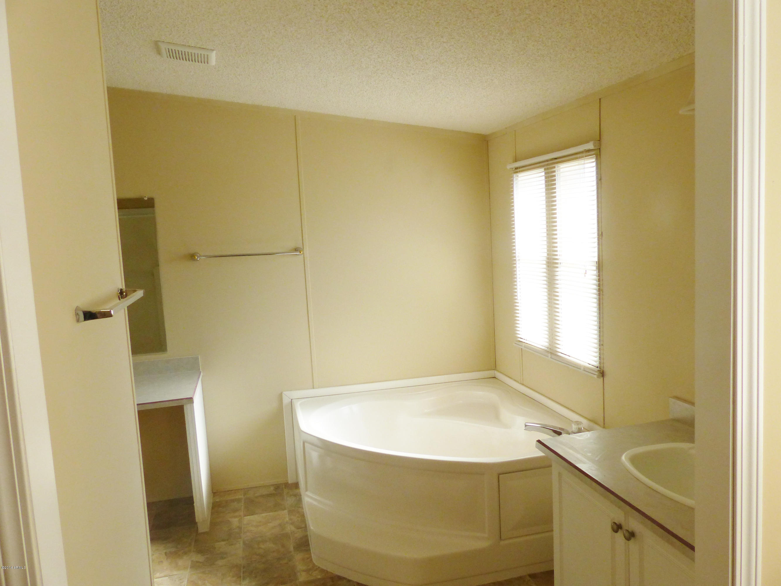 20724 West Telegram Path Road Buckeye, AZ 85326 - Photo 5 of 9 Master bath