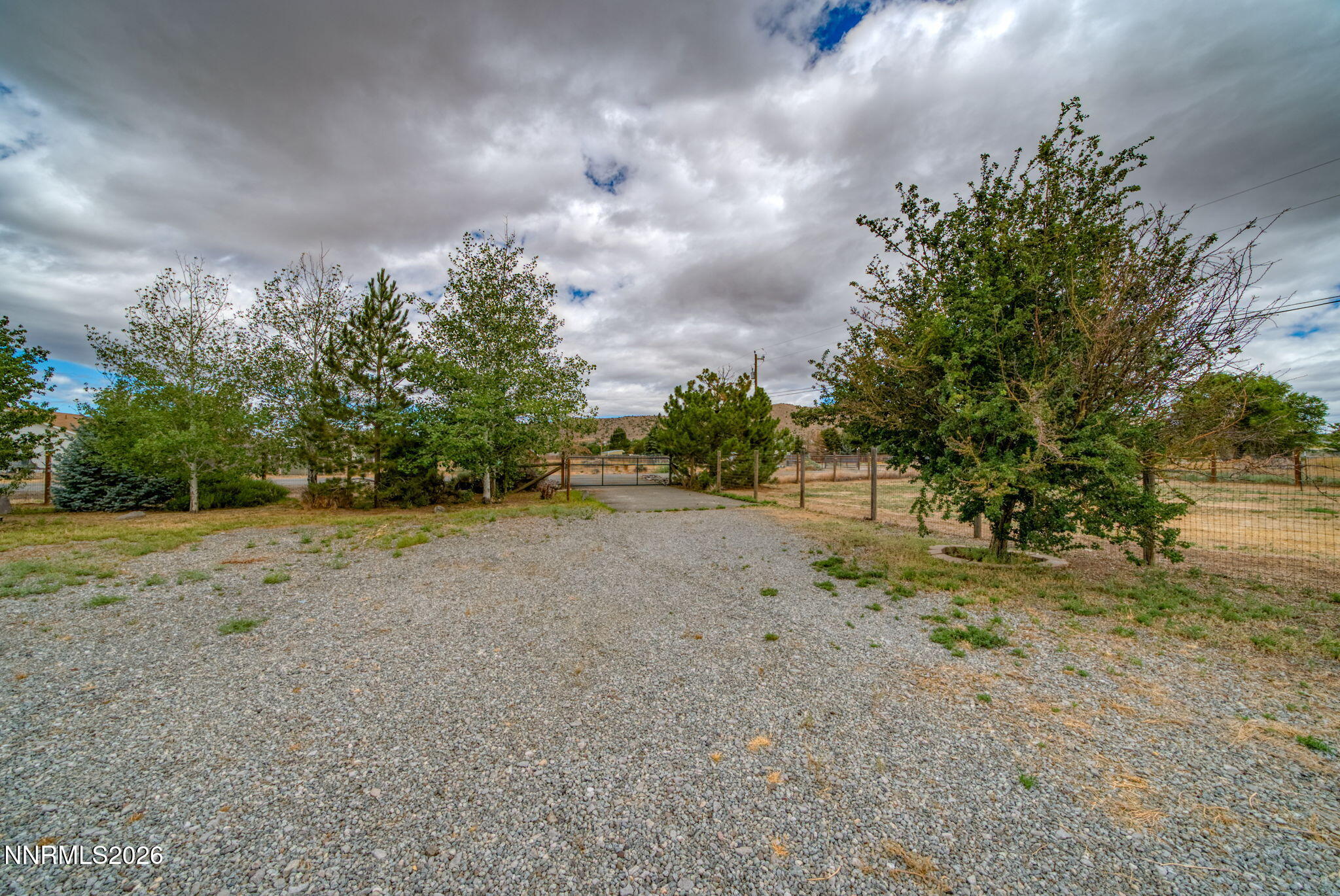 11577 Deodar Way Reno, NV 89506 - Photo 54 of 58 a view of dirt yard with trees