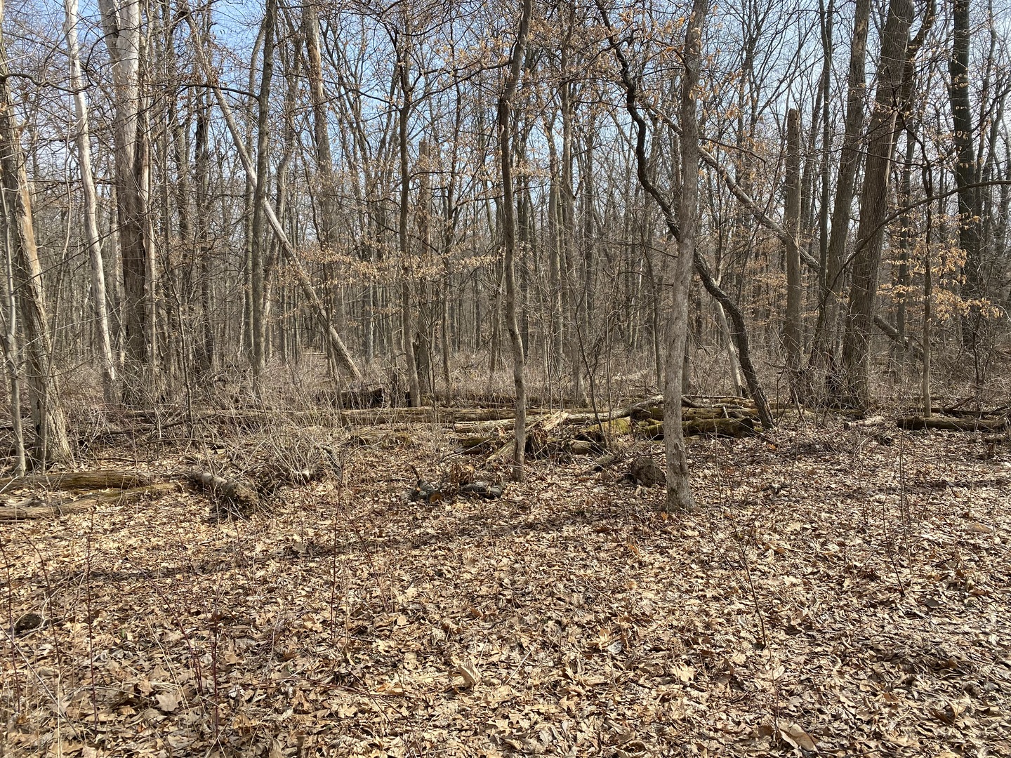 1108 Oakview Lane Genoa, IL 60135 - Photo 4 of 13