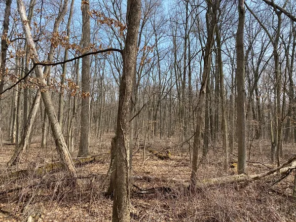 $75,000 | 1108 Oakview Lane, Genoa, IL 60135