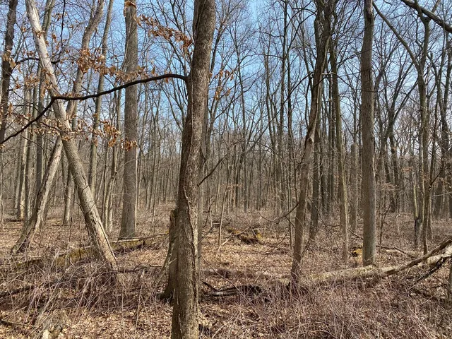 $75,000 | 1108 Oakview Lane, Genoa, IL 60135