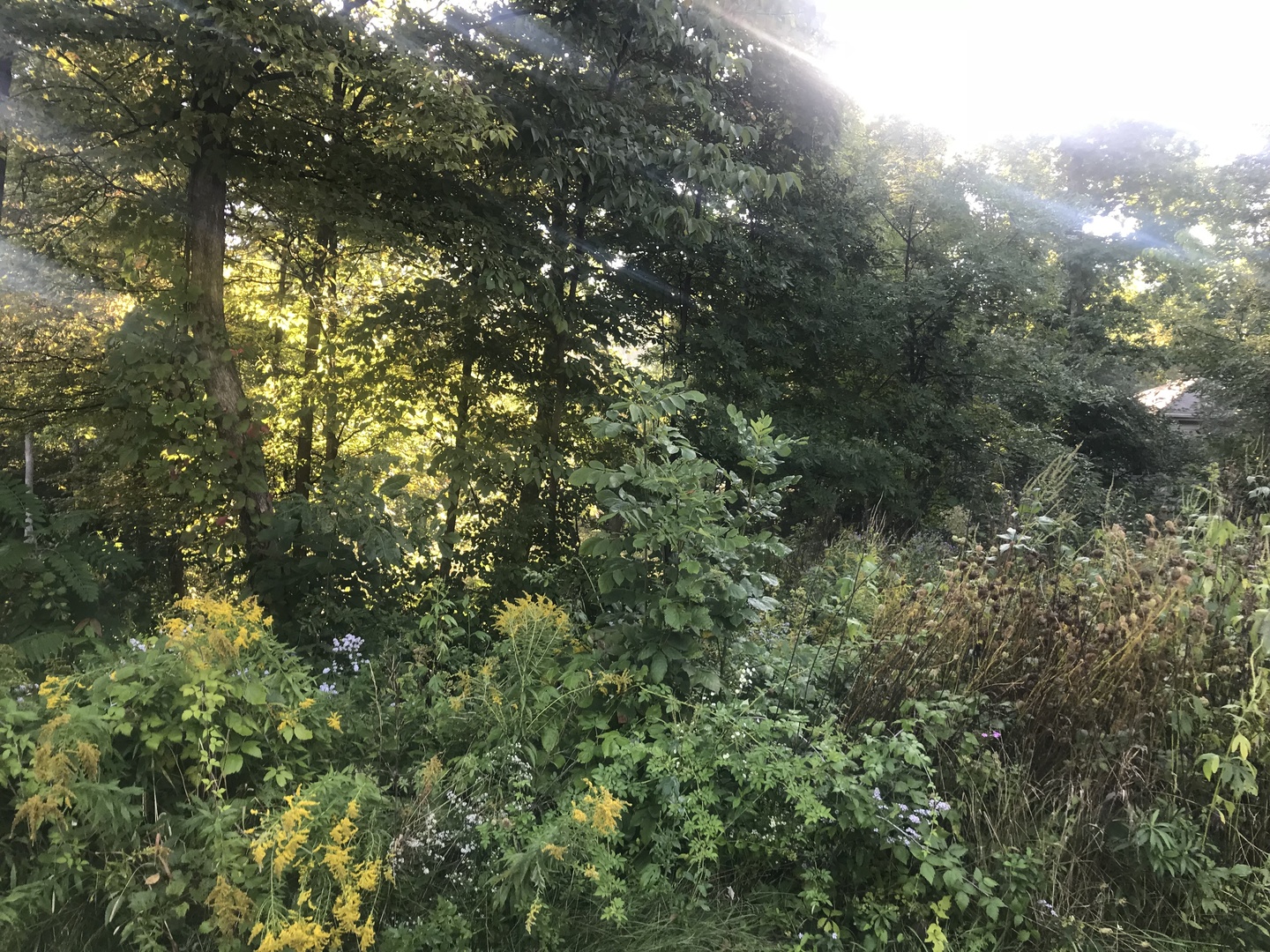 1108 Oakview Lane Genoa, IL 60135 - Photo 9 of 13