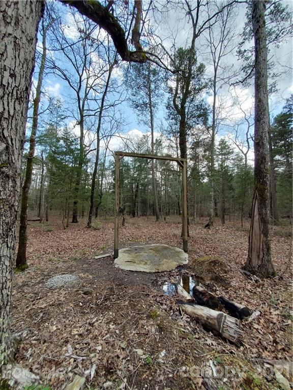 100 Emerald Ridge Road Salisbury, NC 28146 - Photo 14 of 22 Gallery Image 14