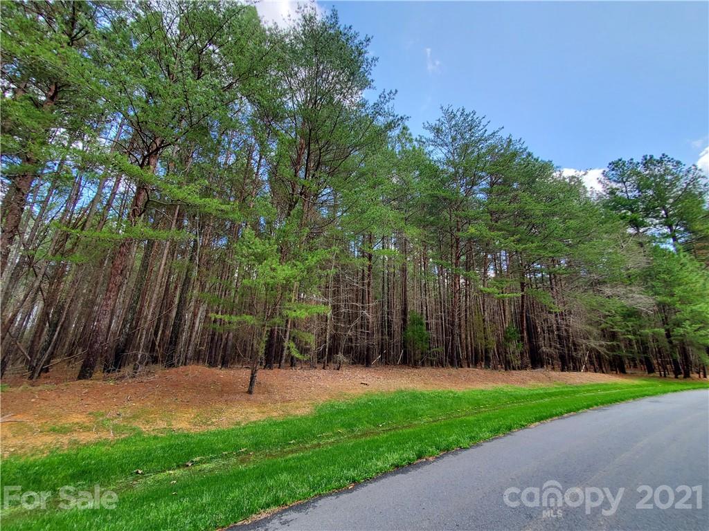 100 Emerald Ridge Road Salisbury, NC 28146 - Photo 3 of 22 Gallery Image 3