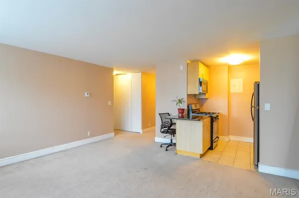 $75,000 | 210 North 17th Street, Unit 512, St. Louis, MO 63103