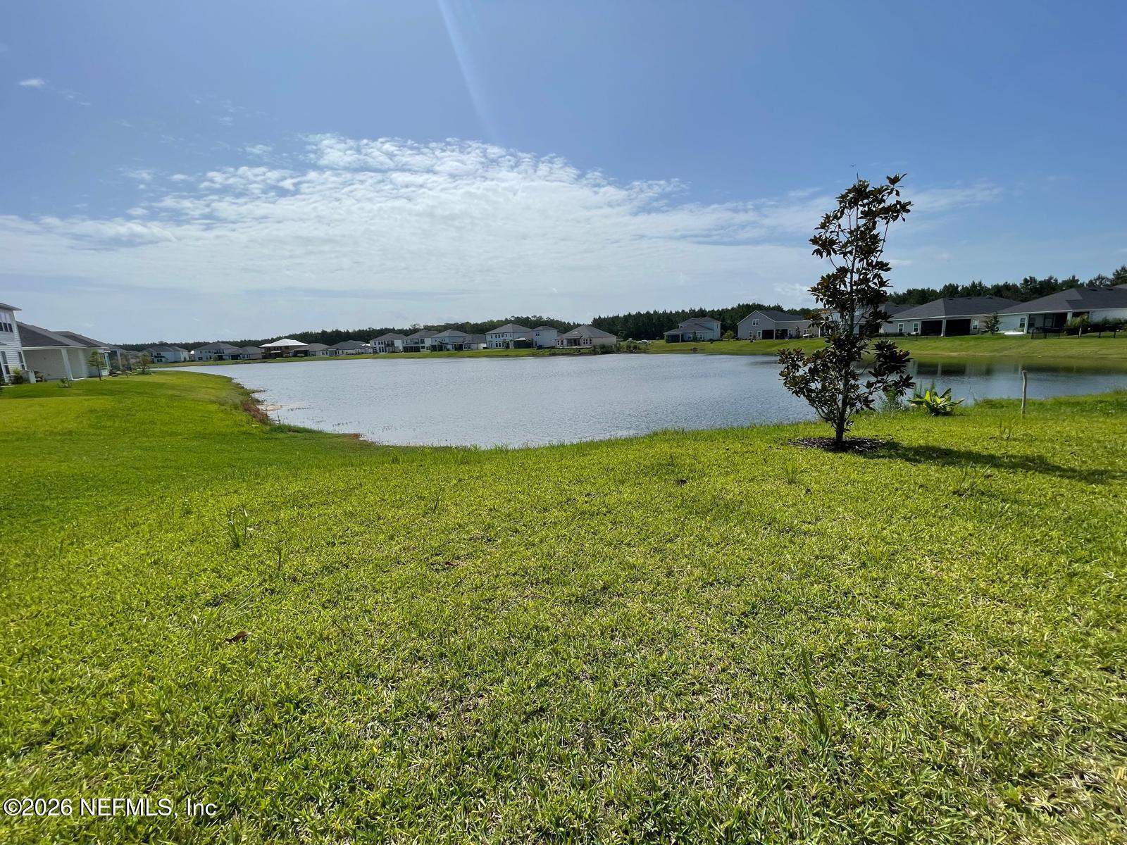 182 Pine Candle Way St. Augustine, FL 32092 - Photo 14 of 39 Backyard